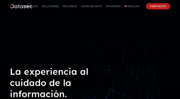 datasec.com.uy