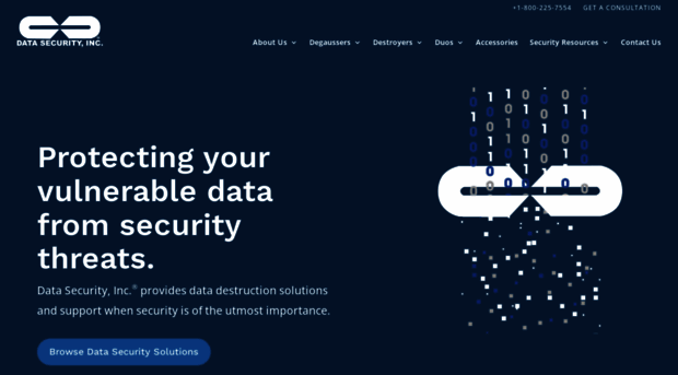 datasecurityinc.com