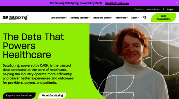 dataspring.com