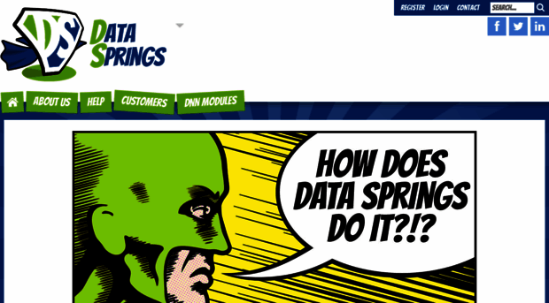 datasprings.com