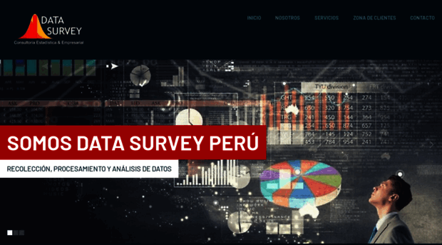 datasurveyperu.com