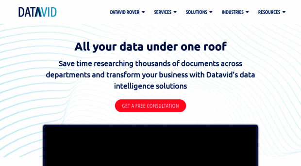 datavid.com