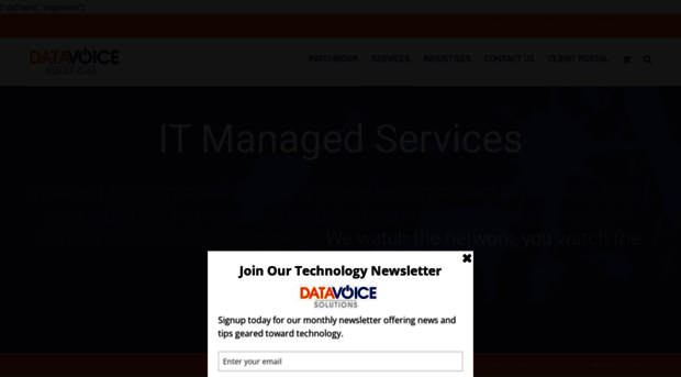 datavoicesolutions.com