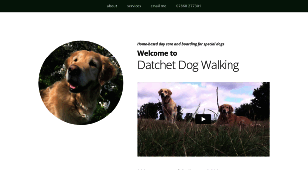 datchetdogwalking.co.uk