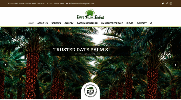 datepalmdubai.com