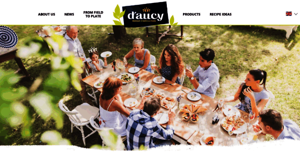 daucy-international.com