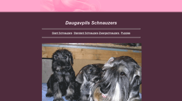 daugavpils.schnauzers.googlepages.com