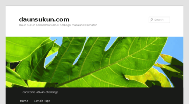 daunsukun.com