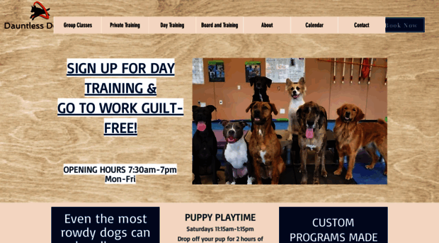 dauntlessdogtraining.com