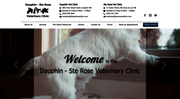 dauphinvetclinic.com