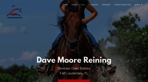 davemoorereining.com