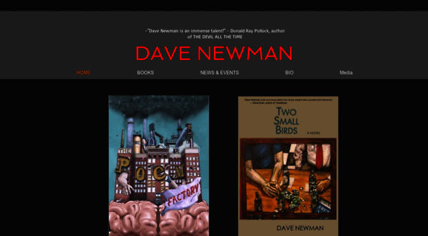 davenewmanwritesbooks.net