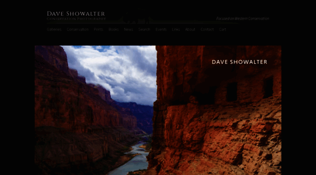 daveshowalter.com