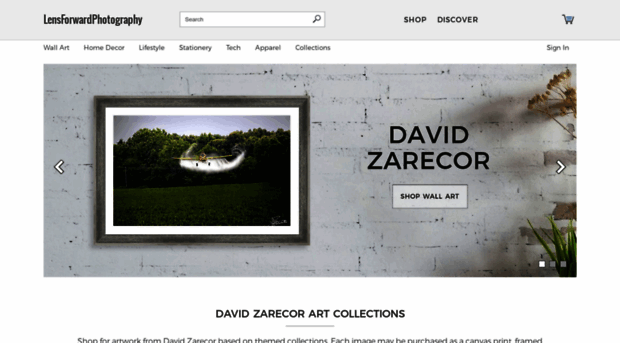 david-zarecor.artistwebsites.com