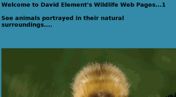 david.element.ukgateway.net