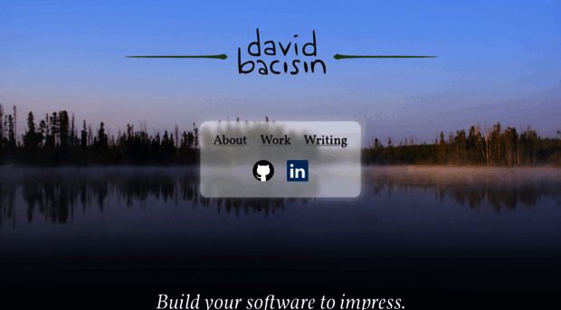 davidbacisin.com