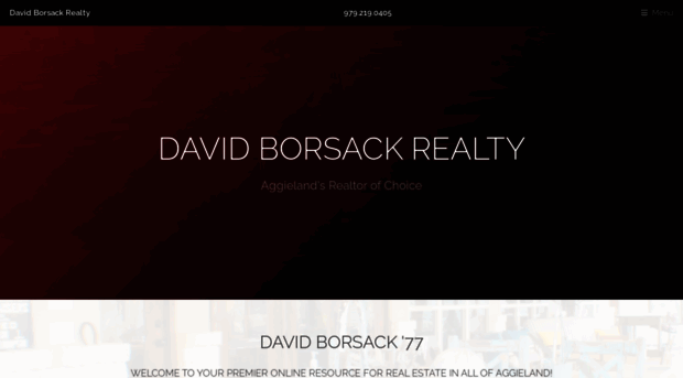 davidborsack.com