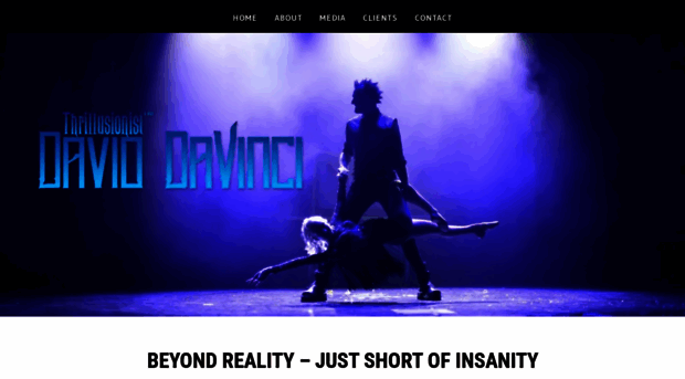daviddavinci.com