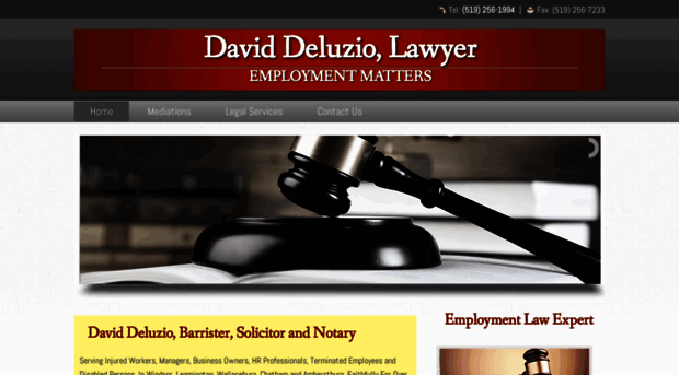 daviddeluziolaw.com