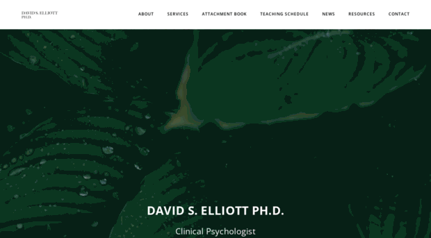 davidelliottphd.com