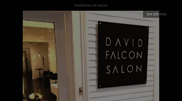 davidfalconsalon.com