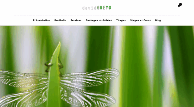 davidgreyo.com