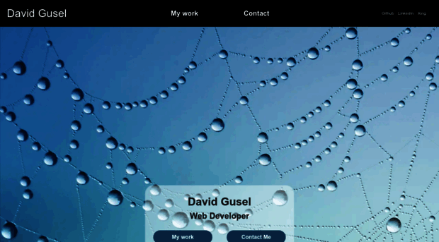 davidgusel.com