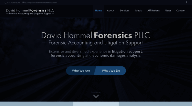 davidhammelforensics.com