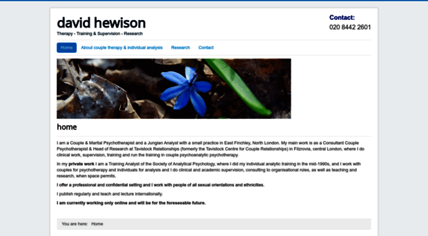 davidhewison.com