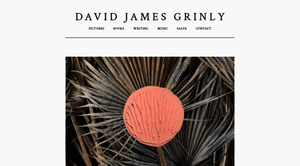 davidjamesgrinly.com