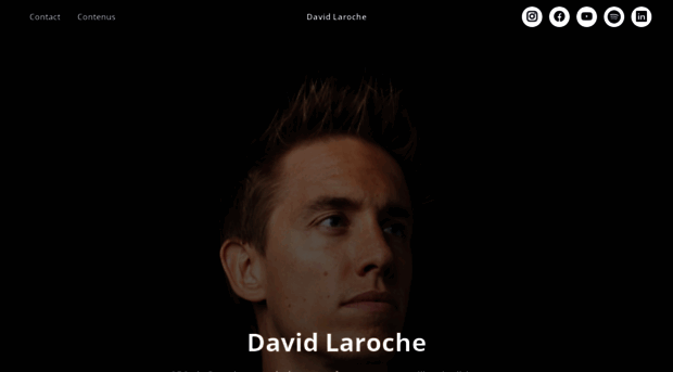 davidlaroche.fr