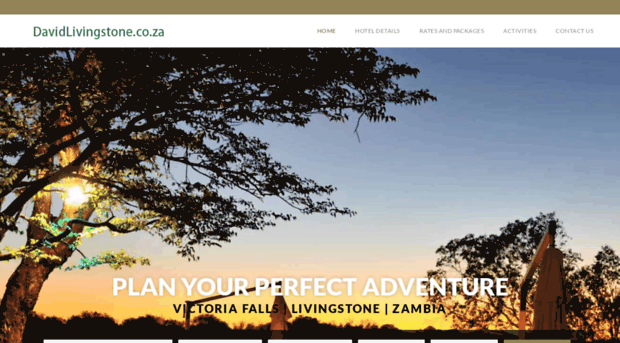 davidlivingstone.co.za