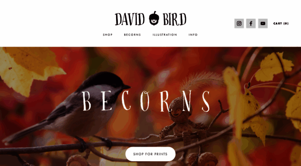 davidmbird.com