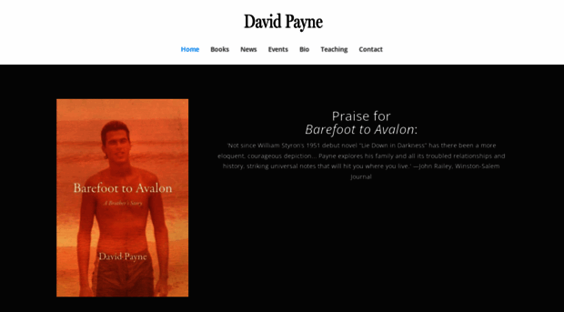 davidpaynebooks.com