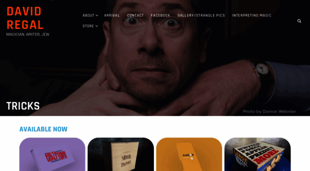 davidregal.com
