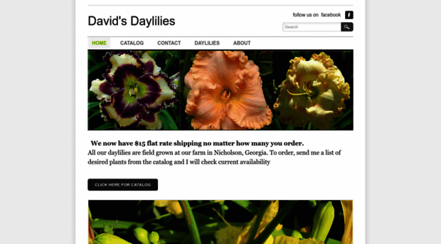 davidsdaylilies.com