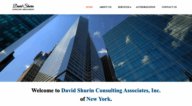 davidshurin.com