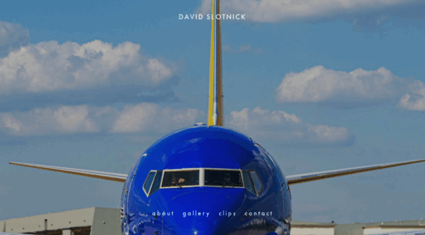 davidslotnick.com