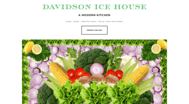 davidsonicehouse.com