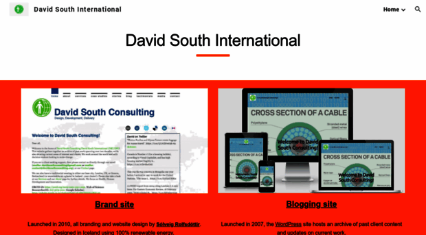 davidsouthinternational.com