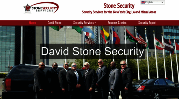 davidstonesecurity.com