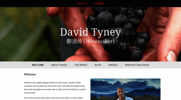 davidtyney.com