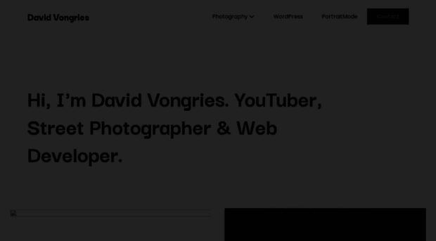 davidvongries.com