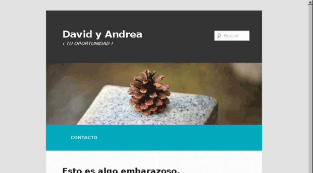 davidyandrea.com