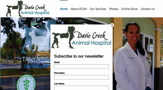 daviecreekanimalhospital.com