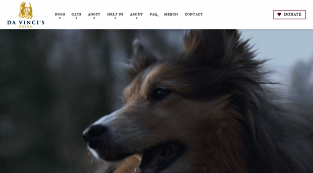 davincisdream.org