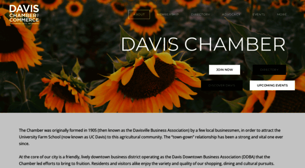 davischamber.com