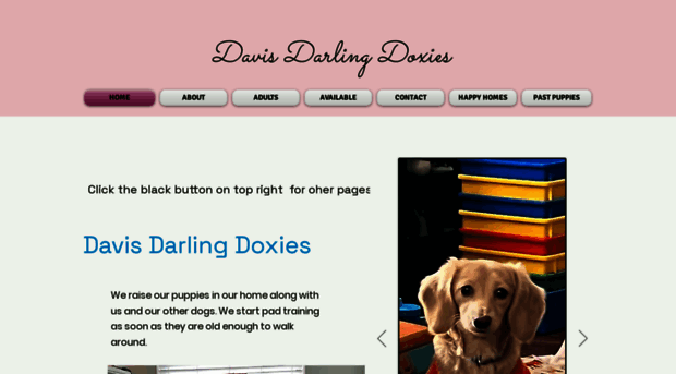 davisdarlingdoxies.com