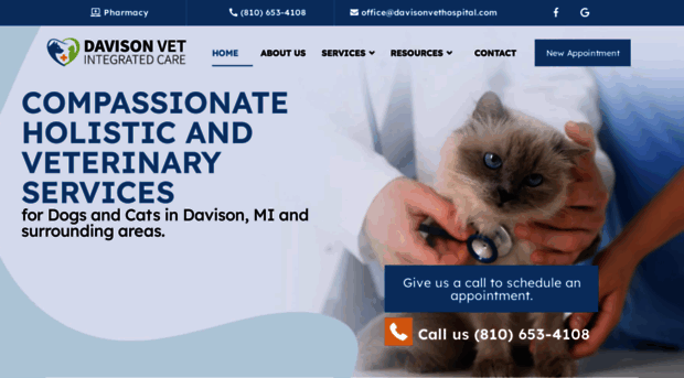 davisonvethospital.com