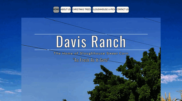 davisranchproduce.com